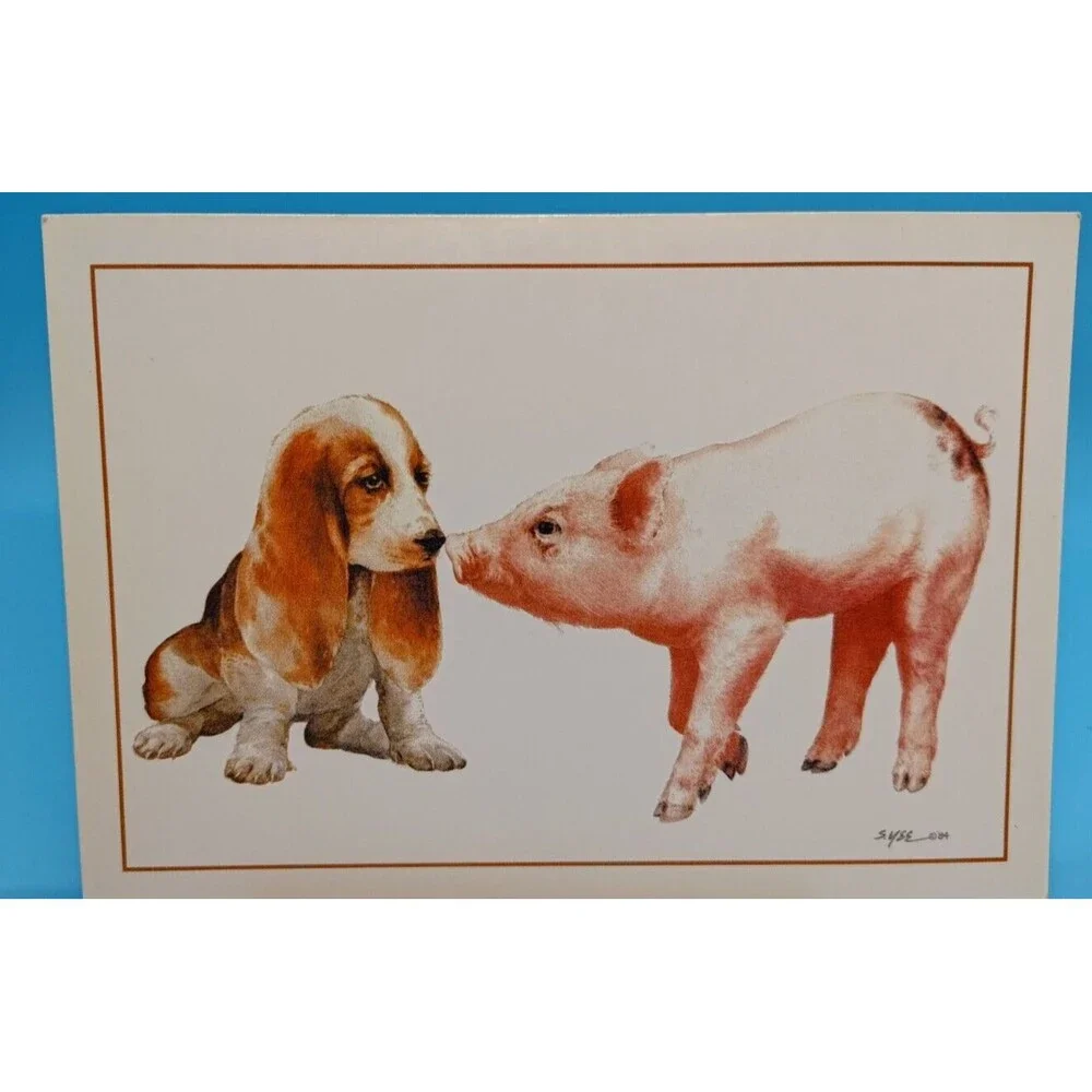 WillowBrook Gallery Vtg ( Know How Old you Are) Birthday Card By Steve Yee